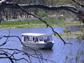 p_ferry_tahbilk[1]